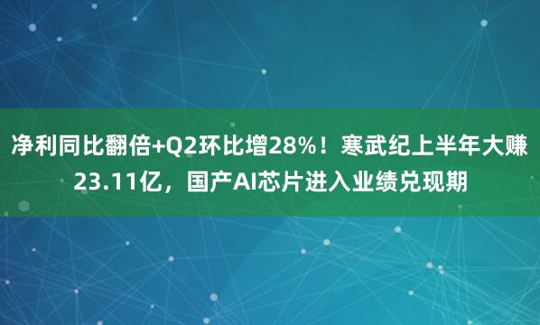 净利同比翻倍+Q2环比增28%！寒武纪上半年大赚23.11亿，国产AI芯片进入业绩兑现期