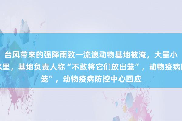 台风带来的强降雨致一流浪动物基地被淹，大量小狗小猫泡在水里，基地负责人称“不敢将它们放出笼”，动物疫病防控中心回应