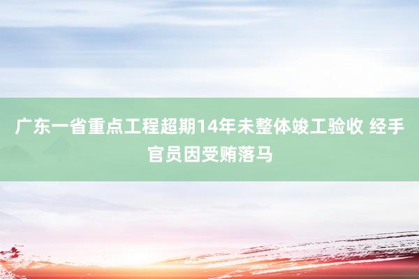 广东一省重点工程超期14年未整体竣工验收 经手官员因受贿落马