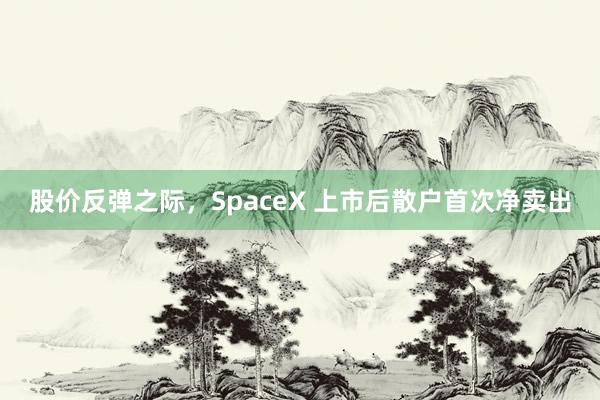 股价反弹之际，SpaceX 上市后散户首次净卖出
