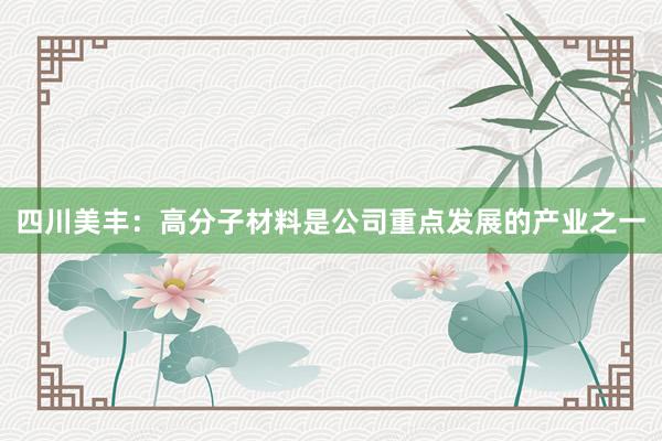 四川美丰：高分子材料是公司重点发展的产业之一