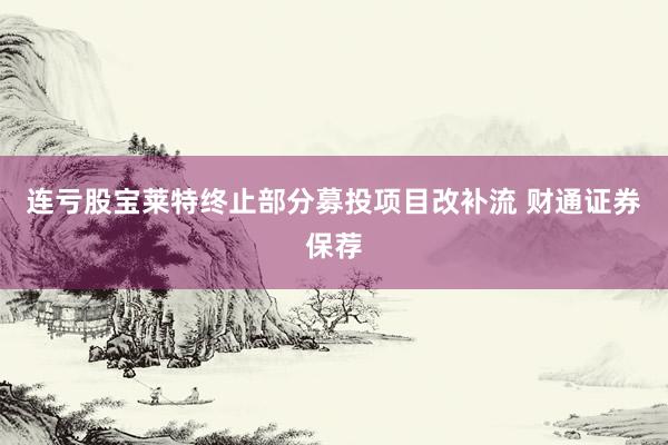 连亏股宝莱特终止部分募投项目改补流 财通证券保荐