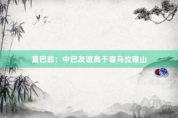 夏巴兹：中巴友谊高于喜马拉雅山