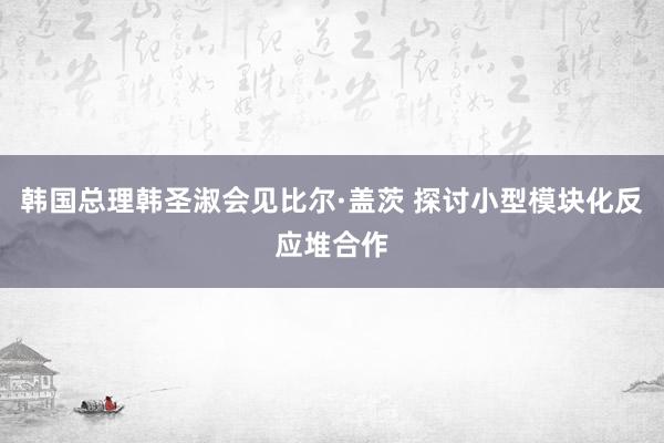 韩国总理韩圣淑会见比尔·盖茨 探讨小型模块化反应堆合作