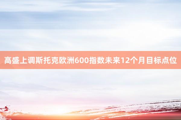 高盛上调斯托克欧洲600指数未来12个月目标点位