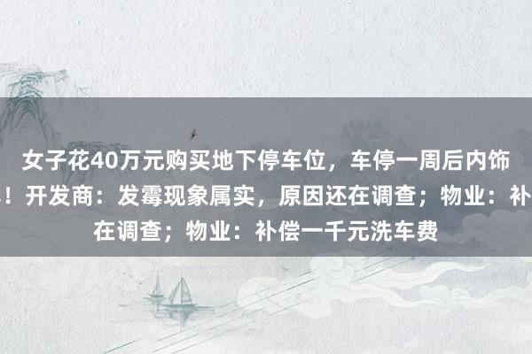 女子花40万元购买地下停车位，车停一周后内饰突然大面积发霉！开发商：发霉现象属实，原因还在调查；物业：补偿一千元洗车费