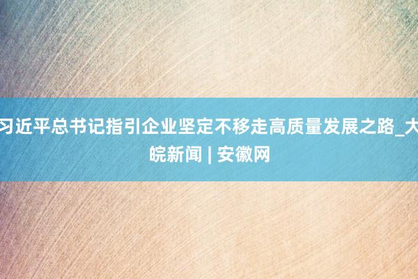 习近平总书记指引企业坚定不移走高质量发展之路_大皖新闻 | 安徽网