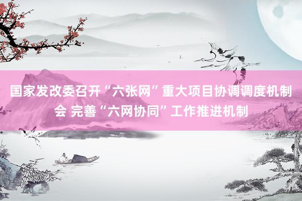 国家发改委召开“六张网”重大项目协调调度机制会 完善“六网协同”工作推进机制