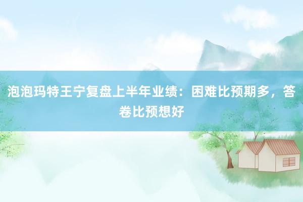 泡泡玛特王宁复盘上半年业绩：困难比预期多，答卷比预想好