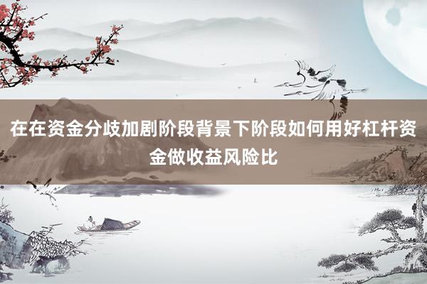 在在资金分歧加剧阶段背景下阶段如何用好杠杆资金做收益风险比