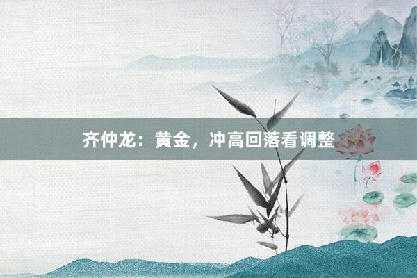 齐仲龙：黄金，冲高回落看调整