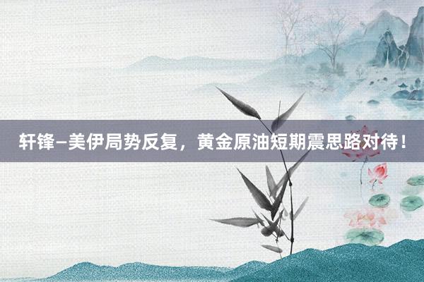 轩锋—美伊局势反复，黄金原油短期震思路对待！