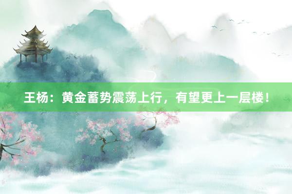 王杨：黄金蓄势震荡上行，有望更上一层楼！