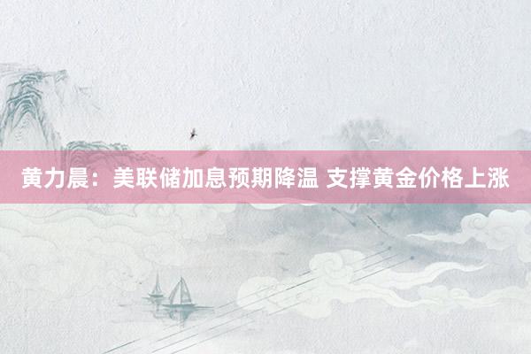 黄力晨：美联储加息预期降温 支撑黄金价格上涨