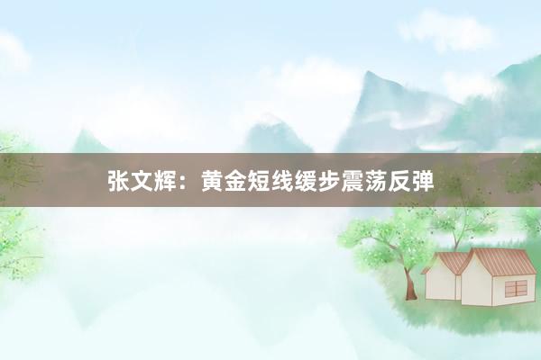 张文辉：黄金短线缓步震荡反弹