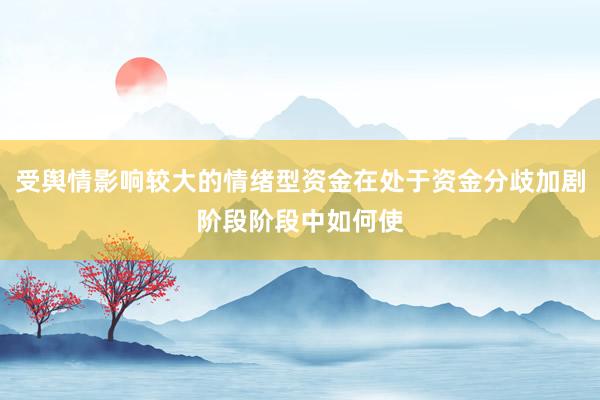 受舆情影响较大的情绪型资金在处于资金分歧加剧阶段阶段中如何使