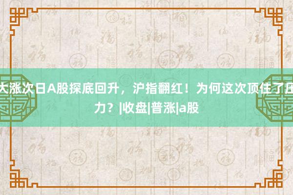 大涨次日A股探底回升，沪指翻红！为何这次顶住了压力？|收盘|普涨|a股