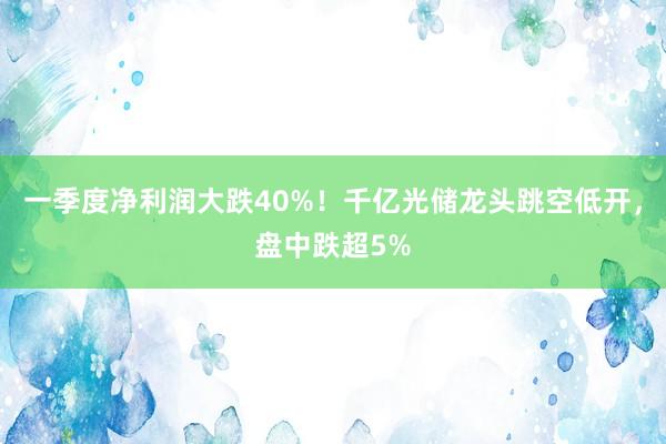 一季度净利润大跌40%！千亿光储龙头跳空低开，盘中跌超5%