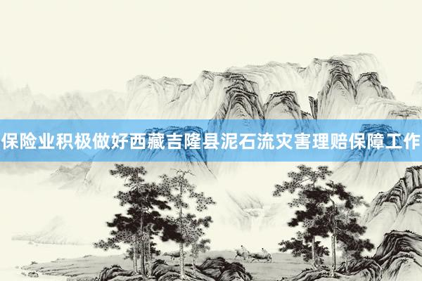 保险业积极做好西藏吉隆县泥石流灾害理赔保障工作