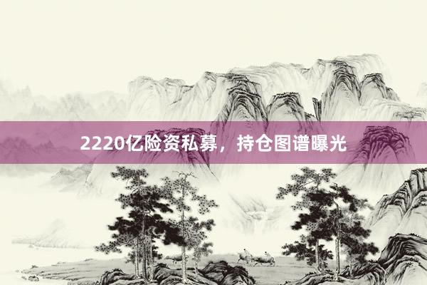 2220亿险资私募，持仓图谱曝光