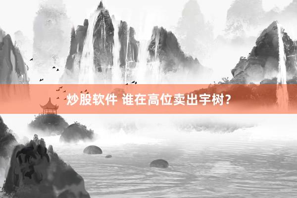 炒股软件 谁在高位卖出宇树？