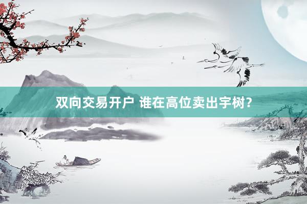 双向交易开户 谁在高位卖出宇树？