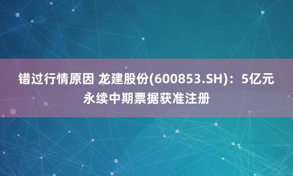 错过行情原因 龙建股份(600853.SH)：5亿元永续中期票据获准注册