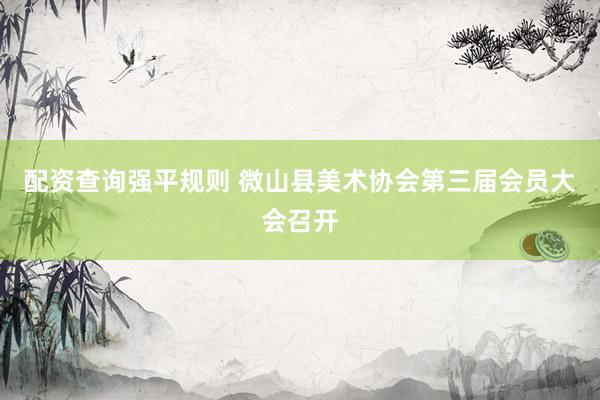配资查询强平规则 微山县美术协会第三届会员大会召开