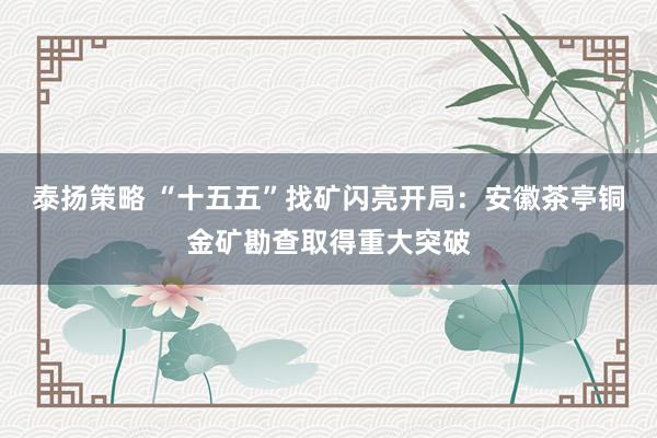 泰扬策略 “十五五”找矿闪亮开局：安徽茶亭铜金矿勘查取得重大突破