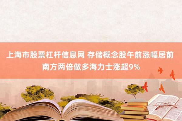 上海市股票杠杆信息网 存储概念股午前涨幅居前 南方两倍做多海力士涨超9%