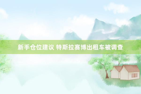 新手仓位建议 特斯拉赛博出租车被调查