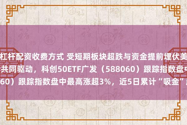 杠杆配资收费方式 受短期板块超跌与资金提前埋伏美联储加息“利空落地”共同驱动，科创50ETF广发（588060）跟踪指数盘中最高涨超3%，近5日累计“吸金”超7亿元