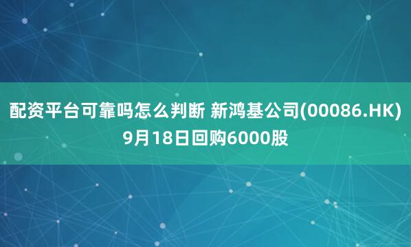 配资平台可靠吗怎么判断 新鸿基公司(00086.HK)9月18日回购6000股
