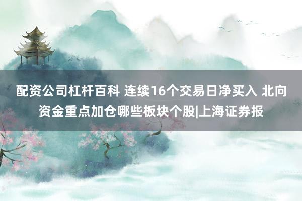 配资公司杠杆百科 连续16个交易日净买入 北向资金重点加仓哪些板块个股|上海证券报