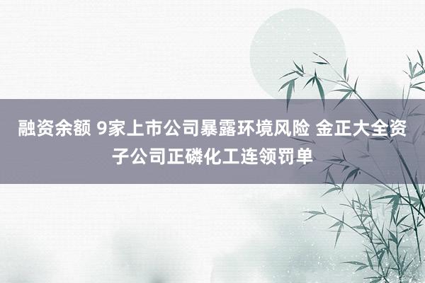 融资余额 9家上市公司暴露环境风险 金正大全资子公司正磷化工连领罚单
