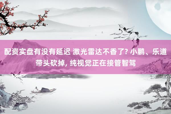 配资实盘有没有延迟 激光雷达不香了? 小鹏、乐道带头砍掉, 纯视觉正在接管智驾